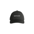 OpenRouter Dark Mode Access Cap